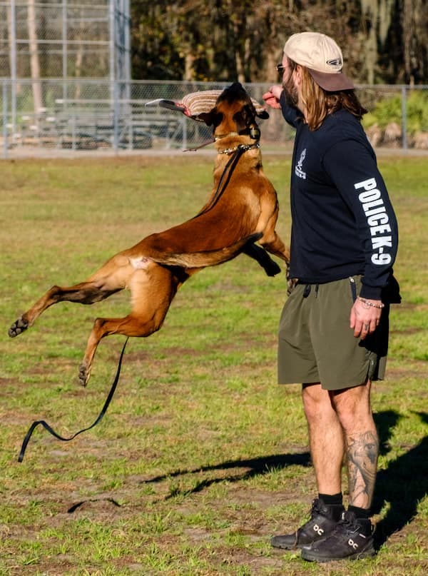 PRIVATE LESSONS image